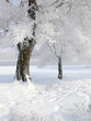 Winter in China, Wusong Island. Winter in China, Wusong Island.