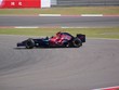 petit toro