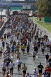 the n.y.c marathon