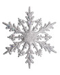 Photo : white snow flake