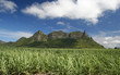 Mountain Mountain