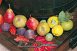 fruits d'automne