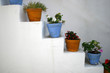 Steps with flowers pots - Paros Island, Greece Steps with flowers pots - Paros Island, Greece
