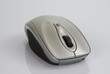 souris souris