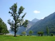 Der Riese am See