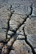 Cracks on the floor