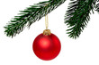 Rote Weihnachtskugel am Zweig 