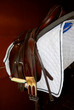 Saddle Saddle