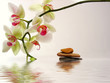 galets et orchidée avec reflet dans l'eau galets et orchidée avec reflet dans l'eau