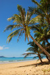 beautiful beach Location
