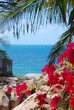 Summer Beach View