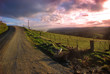 Photo: Evening Country View Evening Country View