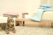 morning room