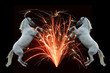 Photos : Fireworks and horses