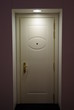 Door with a dark light