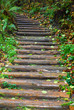 Treppe in der Natur