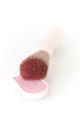 Powder and brush