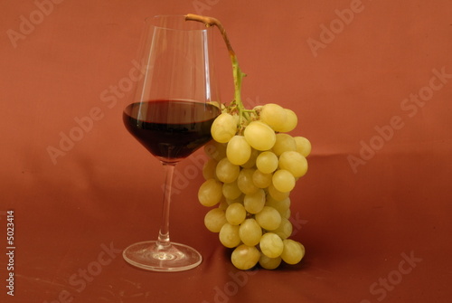 vino vino