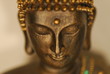 buddha buddha
