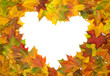 scope from leaves scope from leaves