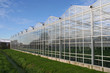 Greenhouse Greenhouse