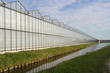 Greenhouse in Holland