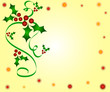 Holly design Holly design