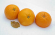 Three oranges