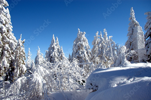 Schnee in den Bergen im Winter