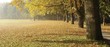 parks and gardens