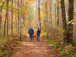 Older couple walking in the autumn forest with a dog Older couple walking in the autumn forest with a dog
