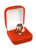 Golden ring in red box.