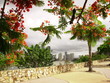 Brisbane-tropical city