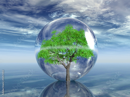 arbre en bulle