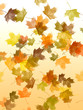 Falling leaves Falling leaves