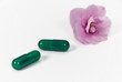 green pharmacy - herbal medicine green pharmacy - herbal medicine