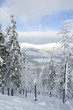 Winter in the mountains
