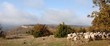 panoramique larzac