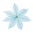 Skeleton Leaves Flower