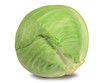 Cabbage