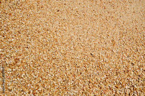 Sand Grains