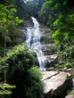 Cascade - Forêt de Tijuca - Rio de Janeiro