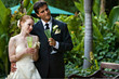 Wedding Reception