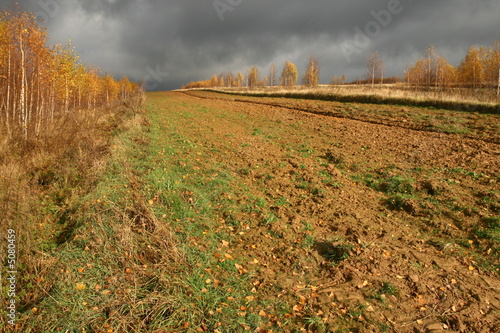 Foto: Wide field Wide field