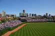 Baseball Field Baseball Field