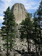 Northern Plains Wyoming Devils Tower