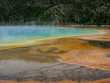 Northern Plains Wyoming Yellowstone Grand Prismatic Spring