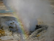 Northern Plains Wyoming Yellowstone Norris Geyser Basin