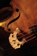contrebasse instrument