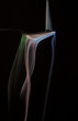 smoky spoon - 3 colors smoky spoon - 3 colors